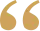 Use Quote Icon