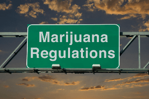 marijuana regulations road sign