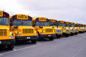 buses lined up