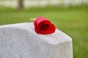 rose on a grave