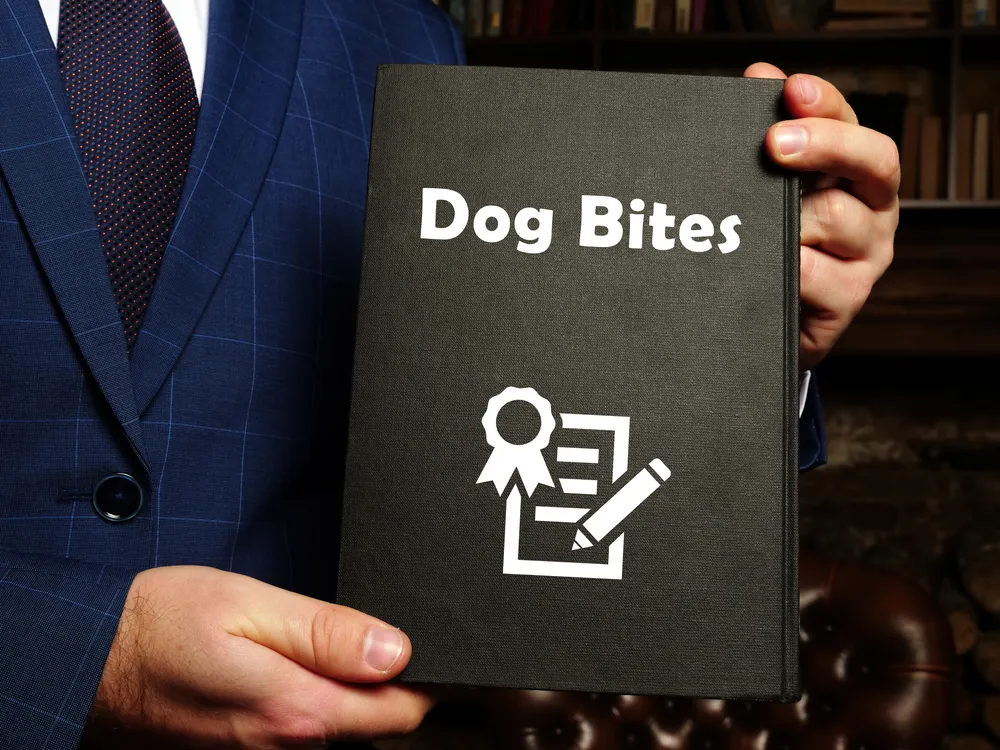 do i need a lawyer for a dog bite